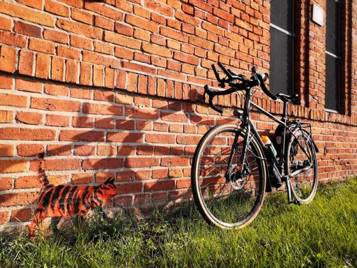 "Wenn Katzen zu dick werden, sollten sie Mausgleichssport treiben."
(Kalenderspruch)