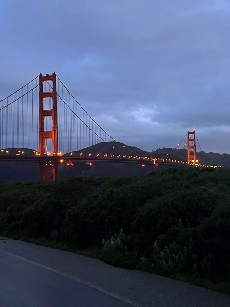 Butterlap (Presidio & Golden Gate Park) photo 111