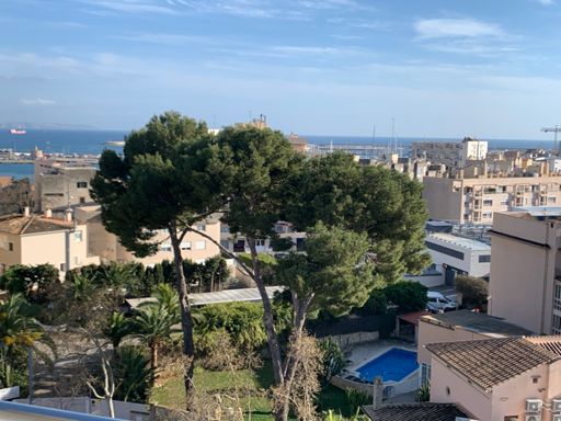 Und in Palma dann von der Sonne wieder empfangen worden😁👍🤩