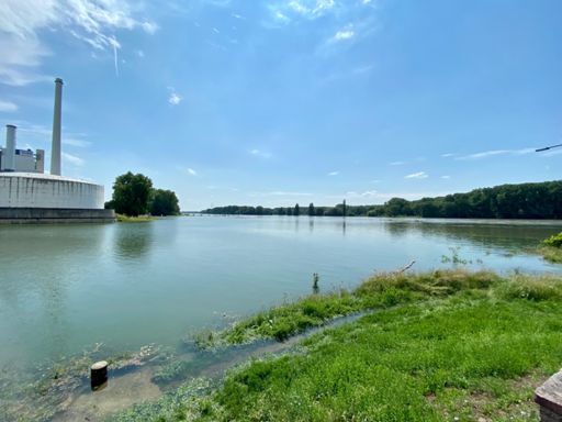 Rhein mit Hochwasser