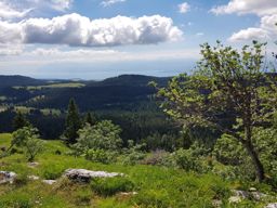 Rando trail escalade Mont Sala