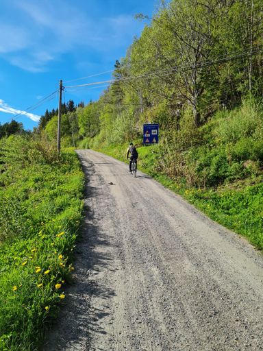 Louis ville ta den enkleste snarveien til Atlanterhavet. Kun 18% over dette fjellet.