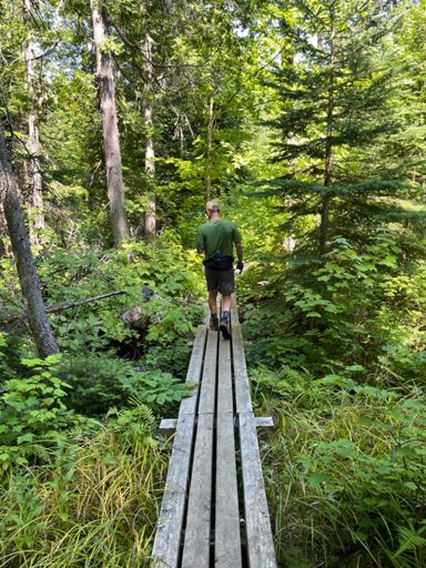 Really cool boardwalk - we have never seen one constructed like this.