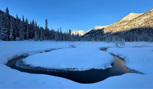 Meandering thru the meadow