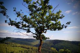 Sortie à vélo le soir