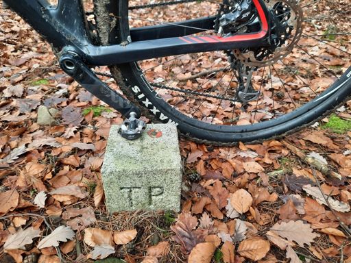 TOP of the Heidelberg 🔝😉