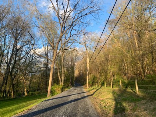 No filter/color correction