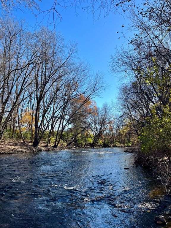 strava bike routes near me