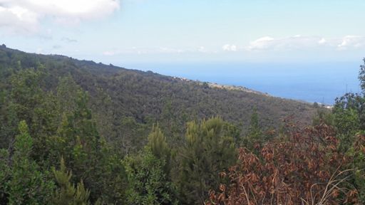 Aunque en este norte, casi todo es apabullante  😍