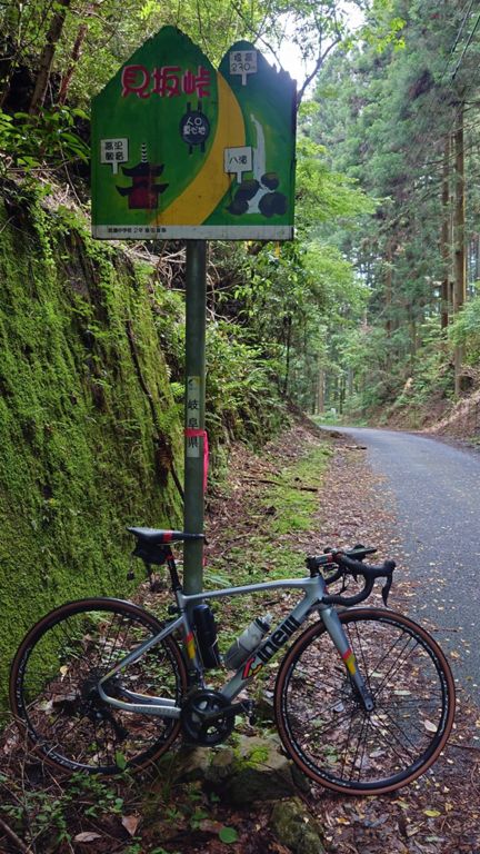久々にこっちのルートを走った。　今思えば、小学校のときによくこんなところまで来れてたな...