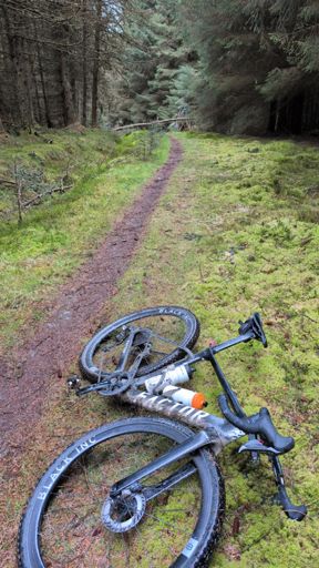 Single track near the end of the ride