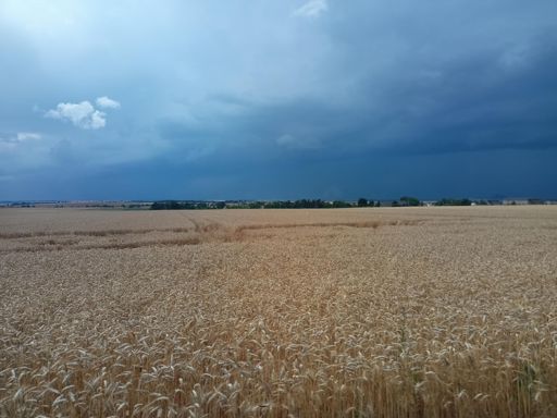 Charvatce - prichazejici chcanec.