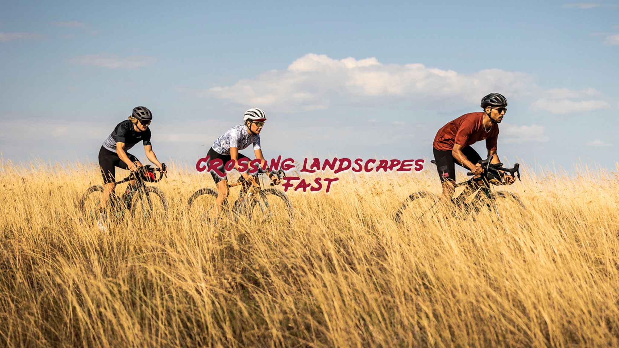 "Crossing Landscapes Fast" video is available on our YouTube Channel