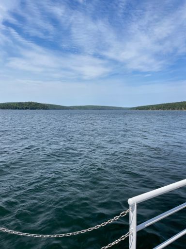 Crossing the Harbour on the Ferry