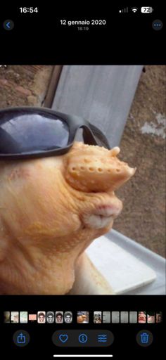 La mia condizione post-natalizia…