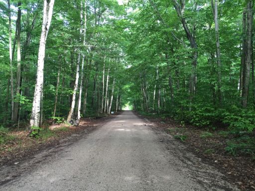 Gravel road on Washington Island