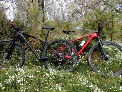 Si ils nous font des p'tits ces 2 là j'en garderais bien un !