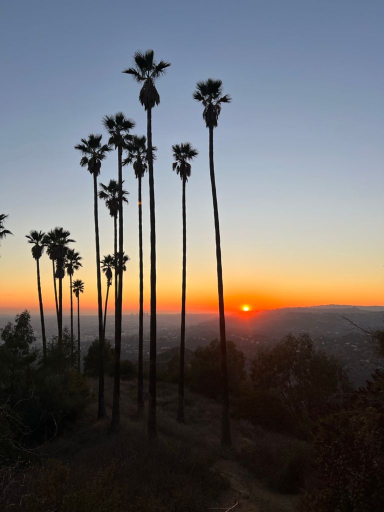 NBB run - Lake Hollywood: фото 9