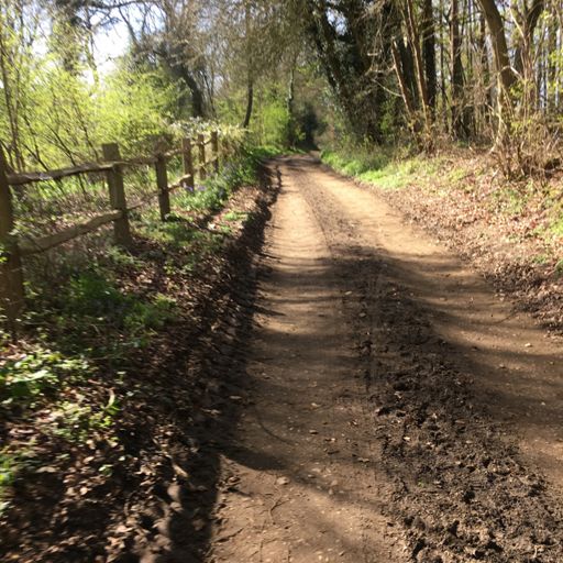 Sector 2: Climb past Polesden Lacey