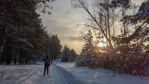 Дорога из Войново на восток.