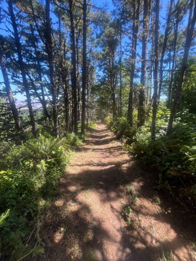 It's all down hill from here 👴🏼 30c conti 