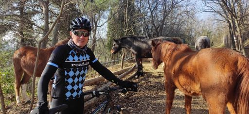 L’uomo che sussurrava ai cavalli