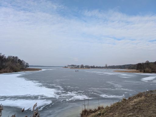 Ujście Skrwy do Wisły