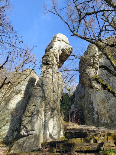 Combe d'Arvaux, dite Combe des Mammouths