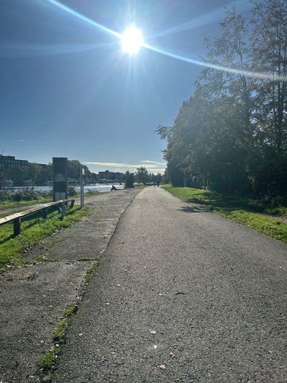 route-highlight