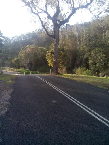 #stewartcookeatyourheartout