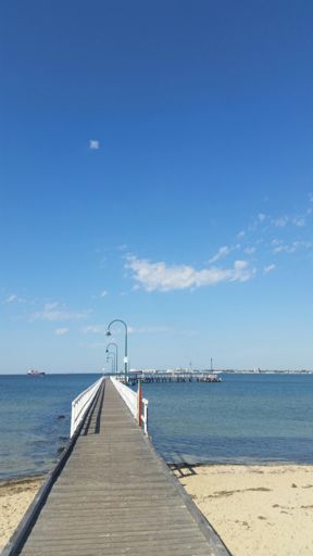 Lovely scenes down by the beach.