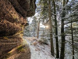 Balade dans la neigr