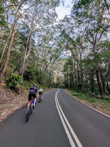 Still my favourite spot to ride through, although Dandenongs are a very close second 😍