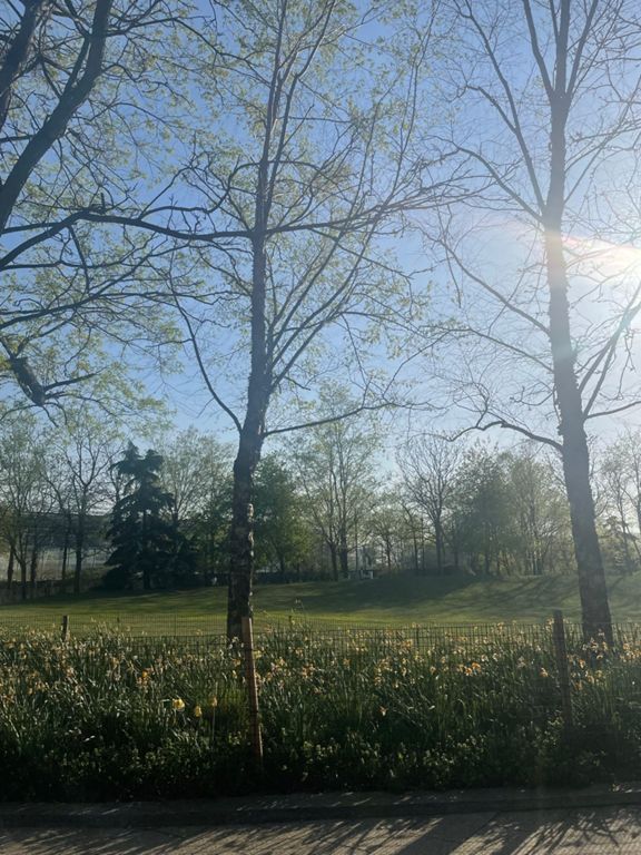 manhattan-40-miler-from-woodside-lirr-40-0-mi-running-route-on-strava