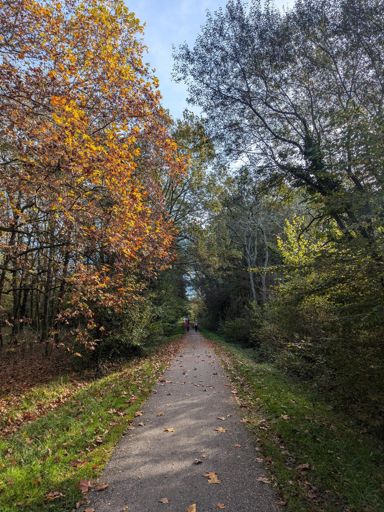 So many fall colors!