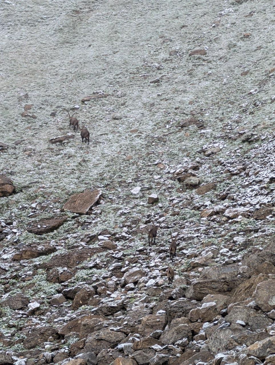 GR 5 Part 1 - Day 11 photo 3