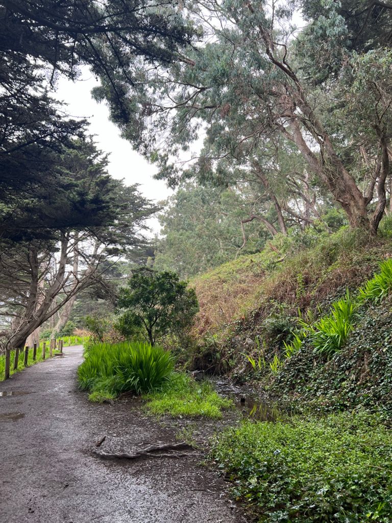 Butterlap (Presidio & Golden Gate Park)的照片 102