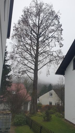 Eppstein_ID23808_UM_Zeilring 25