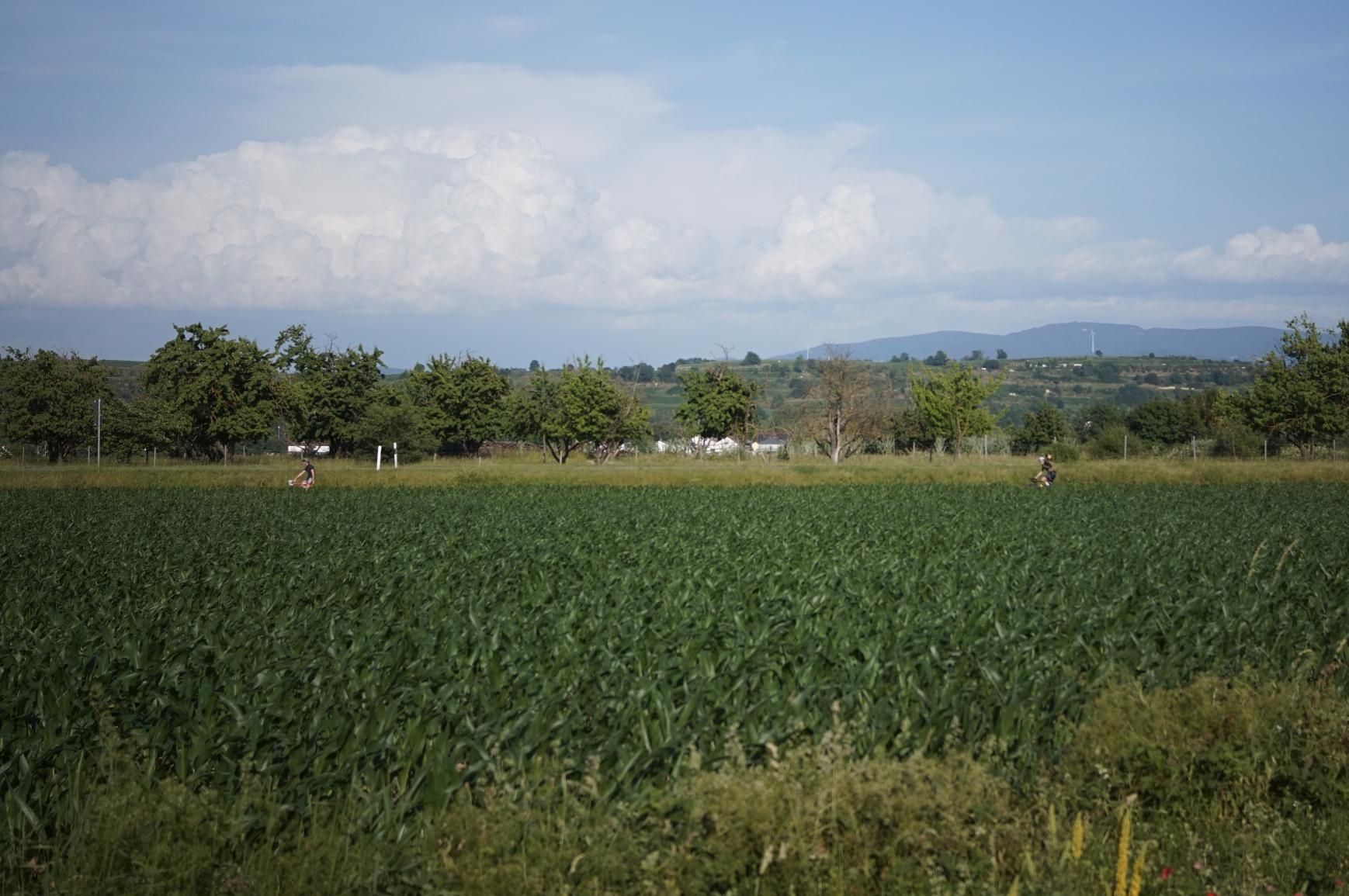 Activity photo