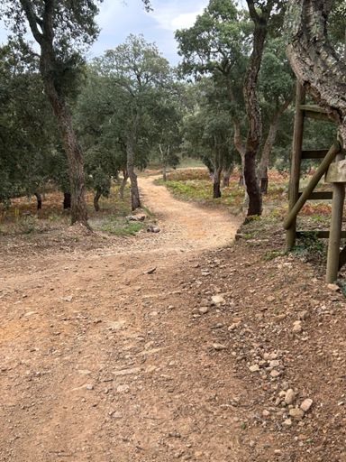 Descente de l’antenne aux moulins de Paillas