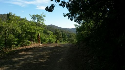 The intial drop to Breezy Pines.