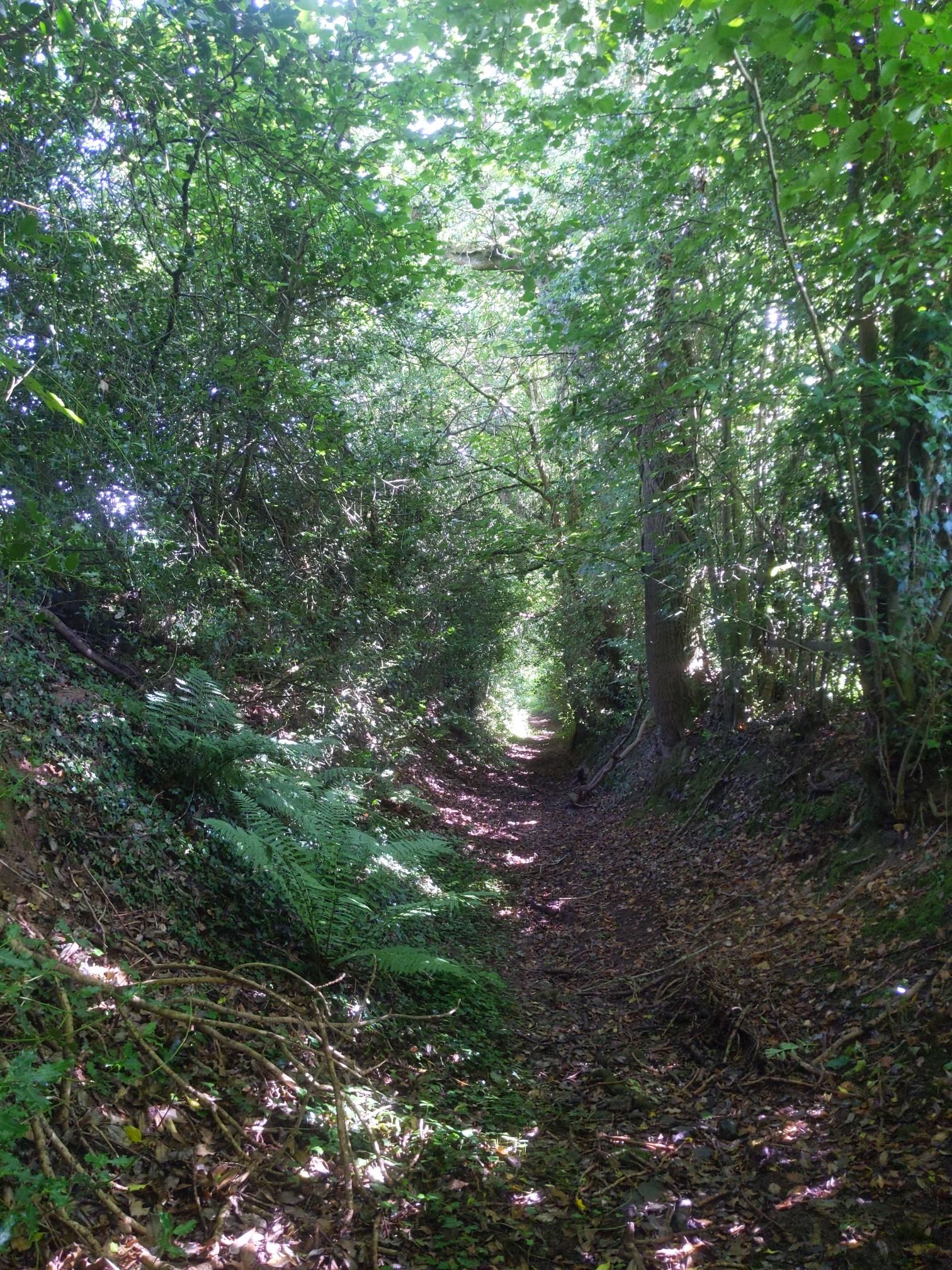 Skipton to Lands End - Day 2 photo 7