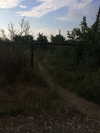 Видишь дрогу?