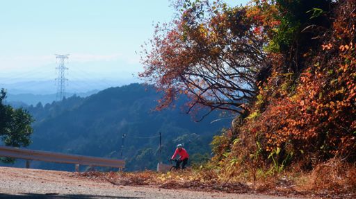 Climbing the Greenline