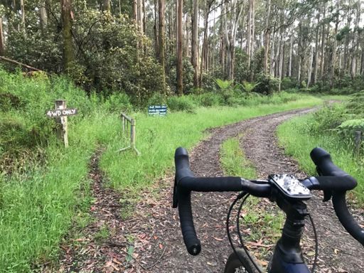 Lucky I can’t read