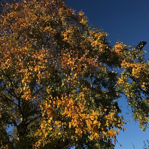 nature in all it’s glory 😎