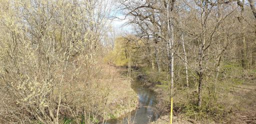 Kinzig bei Langenselbold
