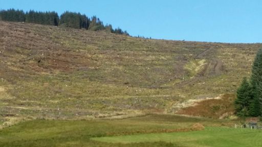 Downhill track potential.