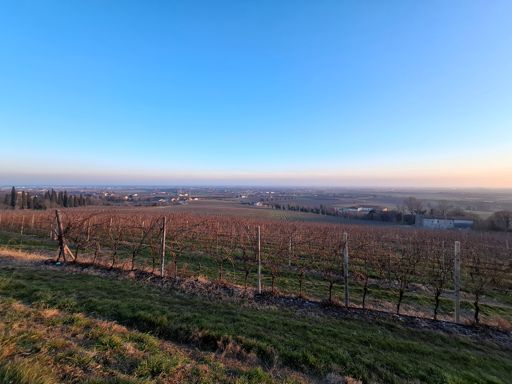 Villafranca @Custoza