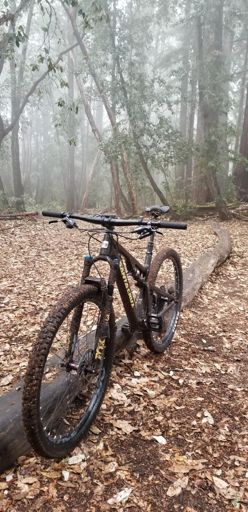 Que mojadon medi, pero chingon!